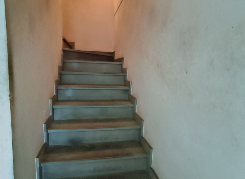 IMG20241214123816