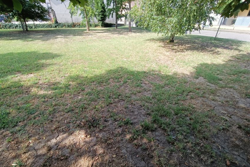 IMG20250724102351