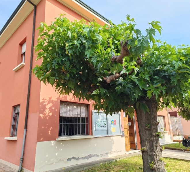 IMG20260528094114