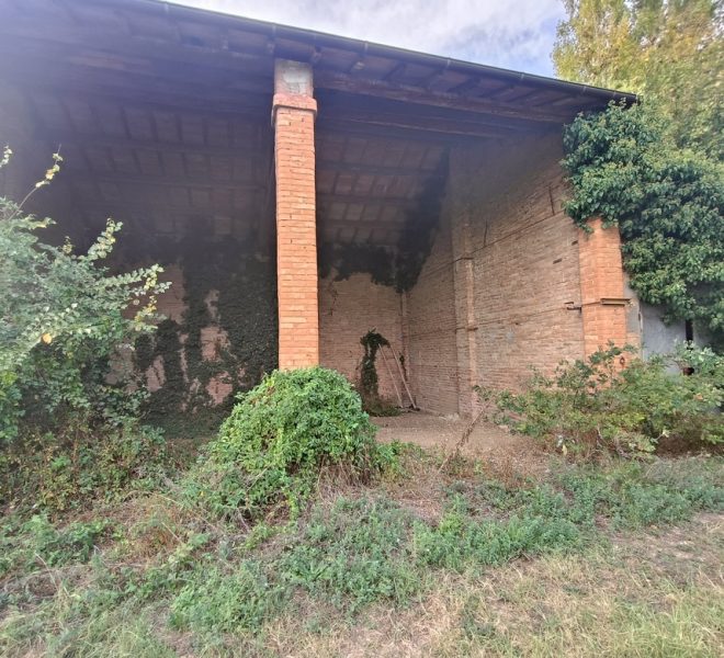 IMG20261008164009