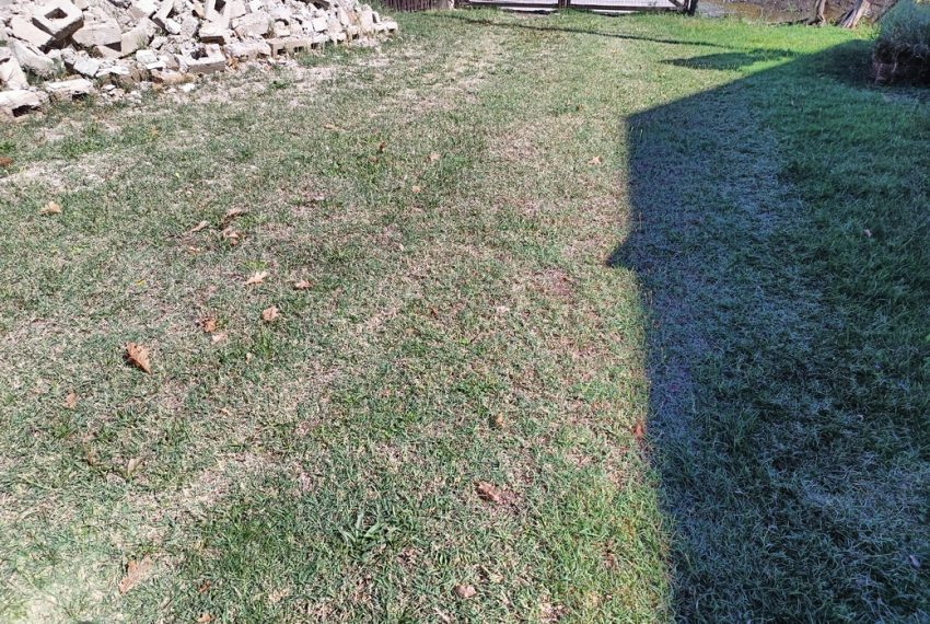 IMG20250903150253