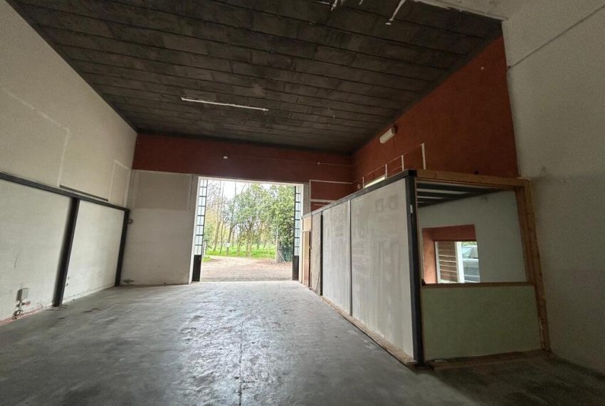 WhatsApp Image 2026-04-24 at 18.07.28 (4)