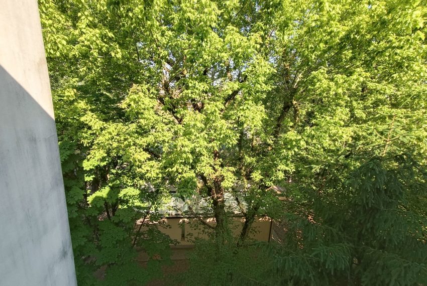 IMG20260527091547