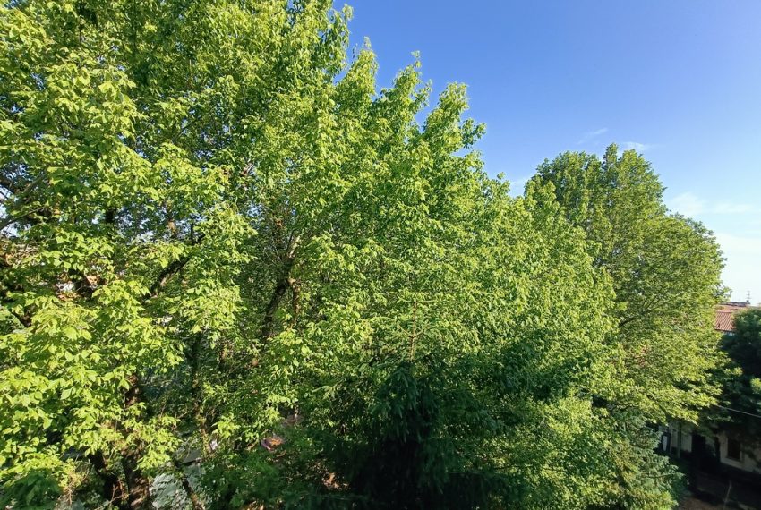 IMG20260527091550