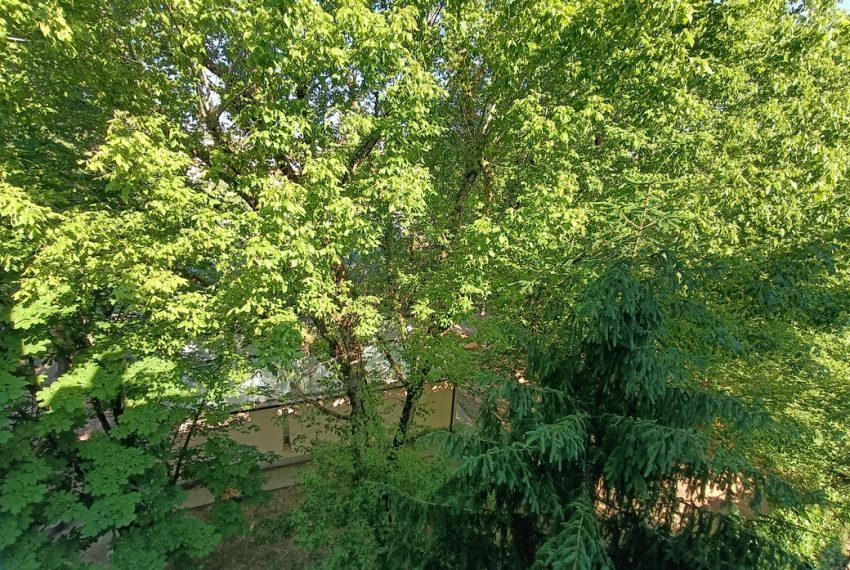 IMG20260527091555