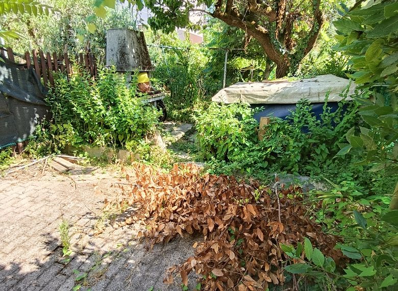 IMG20260617160925