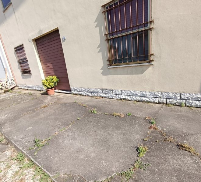 IMG20250619164546