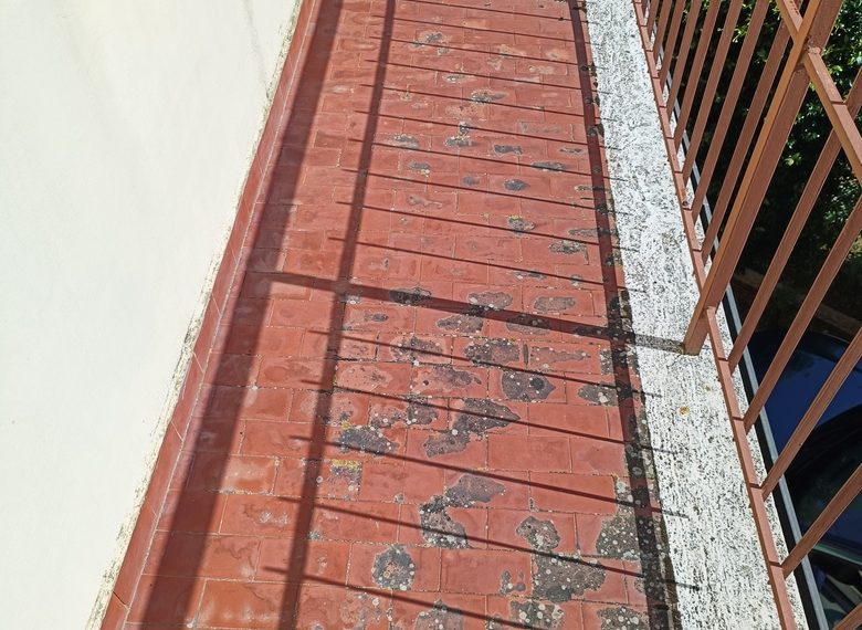 IMG20250619165401