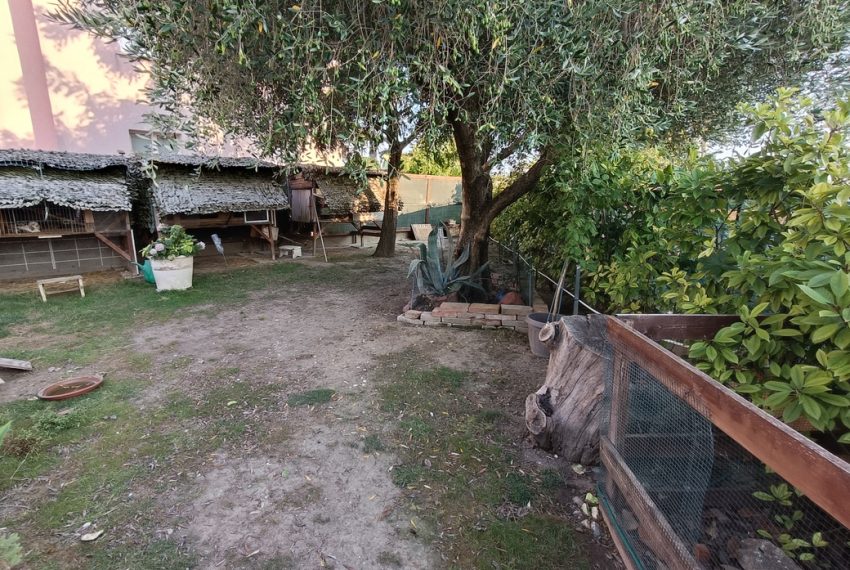 IMG20260729192425