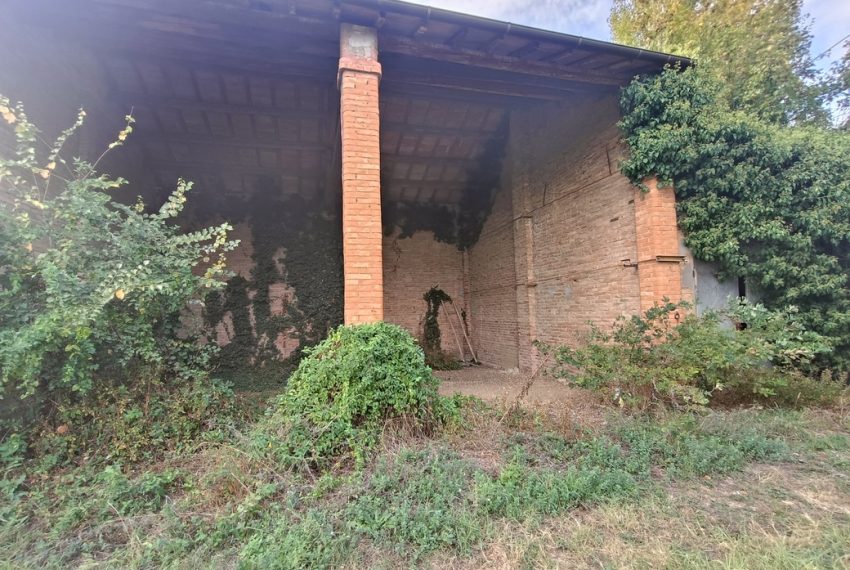 IMG20261008164009